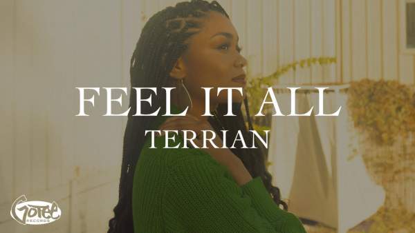 Feel It All Lyrics - Terrian