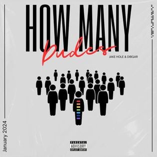 Cover art for How Many Dudes by DigBar