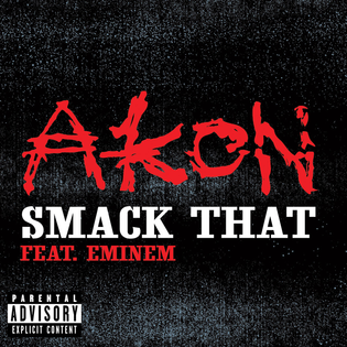 Cover art for Smack That by Akon