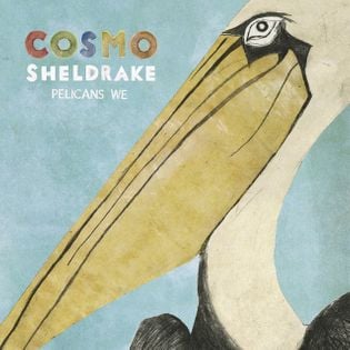 Cover art for The Fly by Cosmo Sheldrake