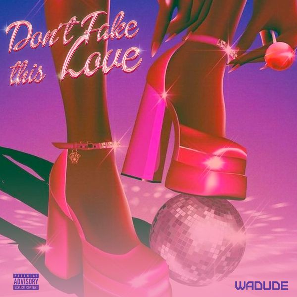 Wadude – Don’t Fake This Love Sped Up Mp3 Download