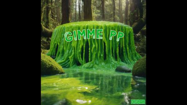 GIMME PP Lyrics - DigBar