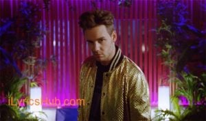 Strip That Down Lyrics - Liam Payne