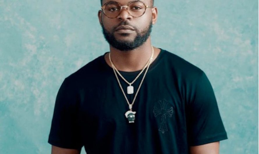 I wasn’t pressured to become a lawyer like my dad – Falz